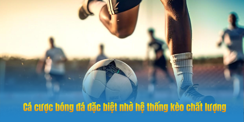 Cá cược bóng đá Crown Sports