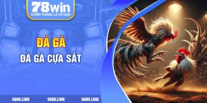 Đá gà cựa sắt 78win